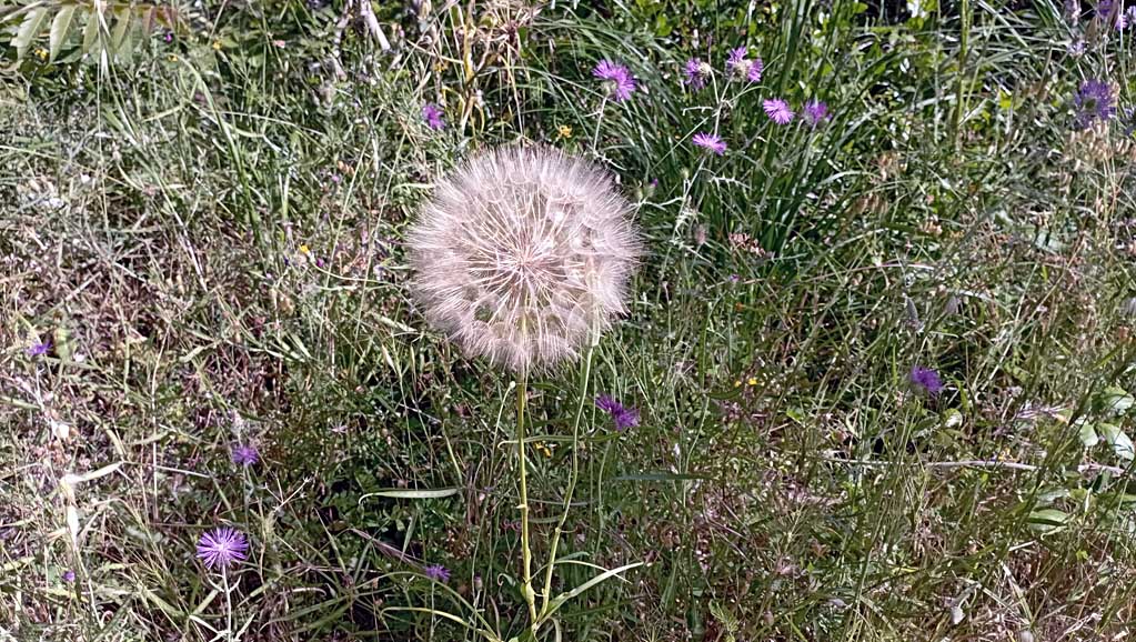 Dai forma a ogni acquisto dei nostri clienti in un bel momento!